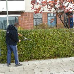 PRZYCINANIE ŻYWOPŁOTÓW WARSZAWA